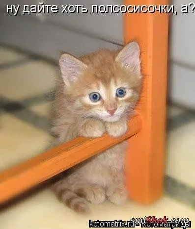 Котомашки "Мелоч, а приятно" Котомашки "Мелоч, а приятно"
