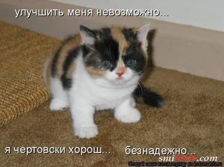 Котомашки "Мелоч, а приятно" Котомашки "Мелоч, а приятно"