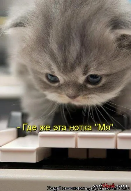 Котомашки "Мелоч, а приятно" Котомашки "Мелоч, а приятно"
