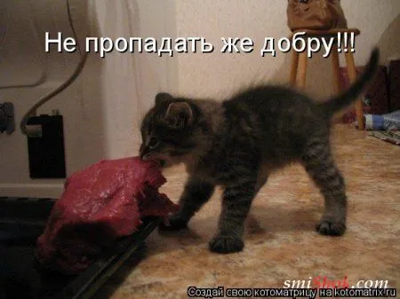 Котомашки "Мелоч, а приятно" Котомашки "Мелоч, а приятно"