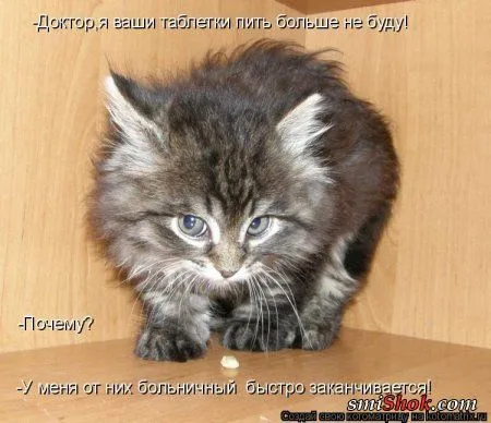 Котомашки "Мелоч, а приятно" Котомашки "Мелоч, а приятно"