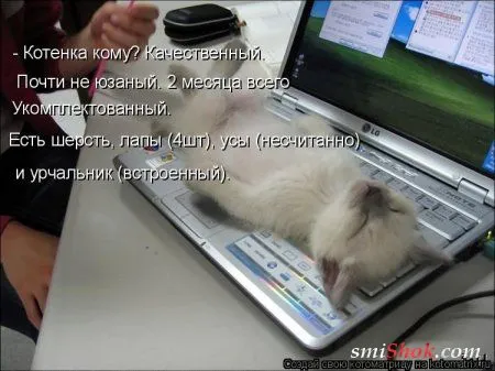 Котомашки "Мелоч, а приятно" Котомашки "Мелоч, а приятно"
