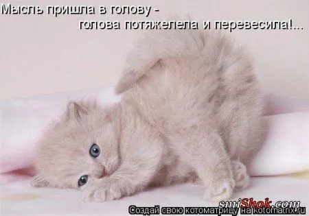 Котомашки "Мелоч, а приятно" Котомашки "Мелоч, а приятно"