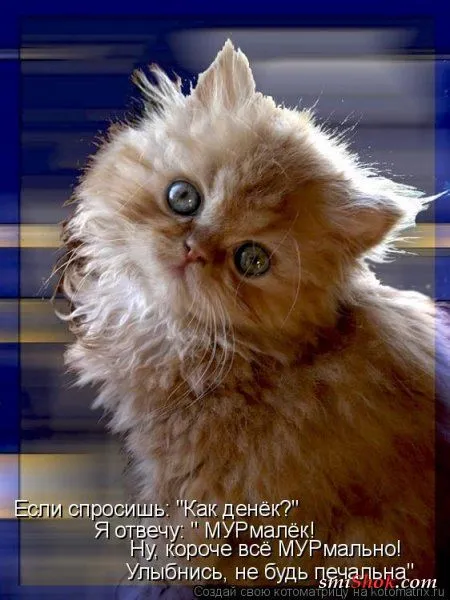 Котомашки "Мелоч, а приятно" Котомашки "Мелоч, а приятно"