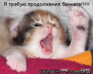 Котомашки "Мелоч, а приятно" Котомашки "Мелоч, а приятно"