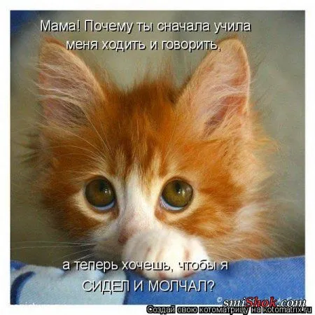 Котомашки "Мелоч, а приятно" Котомашки "Мелоч, а приятно"