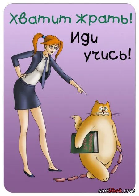 Приколы про еду, употребляй позитив!