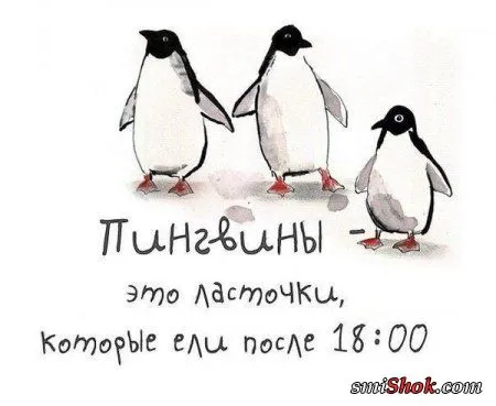 Приколы про еду, употребляй позитив!