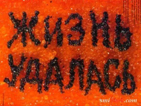 Приколы про еду, употребляй позитив!
