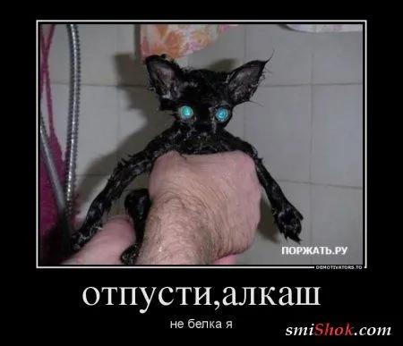 Чуть-чуть демотиваторов на ночь Чуть-чуть демотиваторов на ночь