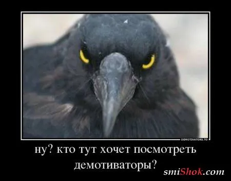 Чуть-чуть демотиваторов на ночь Чуть-чуть демотиваторов на ночь