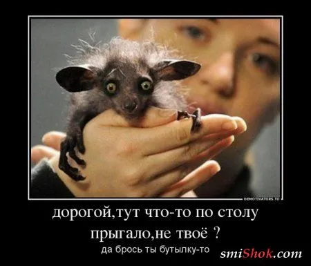 Чуть-чуть демотиваторов на ночь Чуть-чуть демотиваторов на ночь