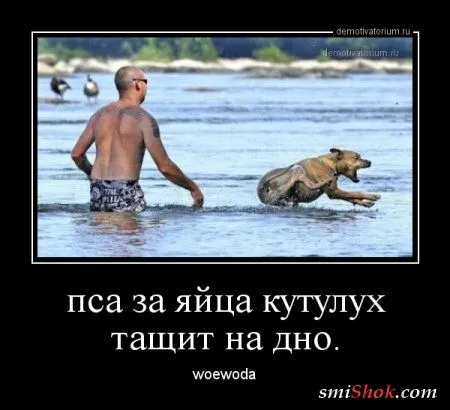 Чуть-чуть демотиваторов на ночь Чуть-чуть демотиваторов на ночь