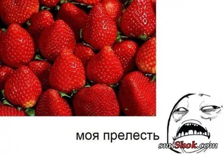 Непонятная Подборка юмора типа