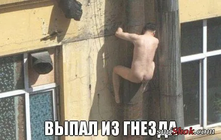 Пятничные фото приколы