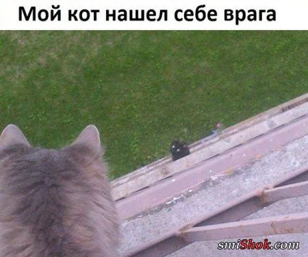 Пятничные фото приколы