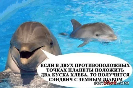 Пятничные фото приколы