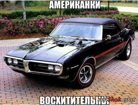 Приколы, фото с комментариями