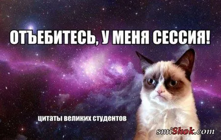 Приколами мир полон...
