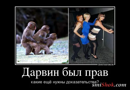 Демотиваторы - это прикольно в любое время Демотиваторы - это прикольно в любое время