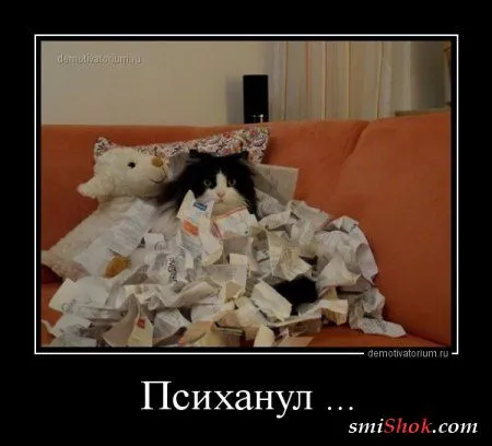 Демотиваторы - это прикольно в любое время Демотиваторы - это прикольно в любое время