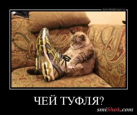 Демотиваторы - это прикольно в любое время Демотиваторы - это прикольно в любое время