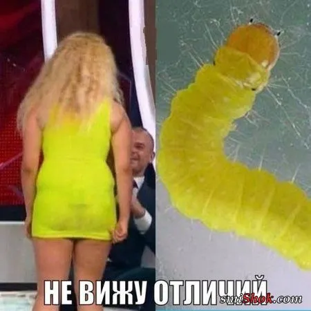 Прикольные картинки притягивают