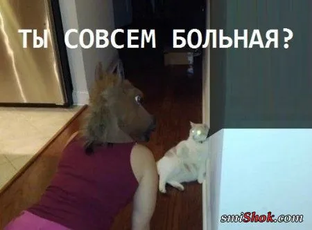 Прикольные картинки притягивают