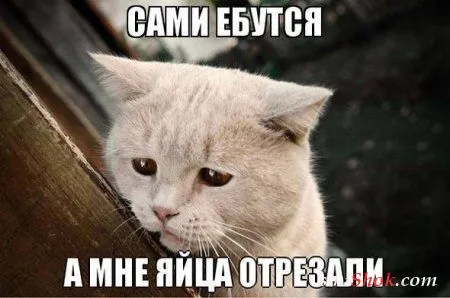 Сладких снов вам Форумчане Сладких снов вам Форумчане