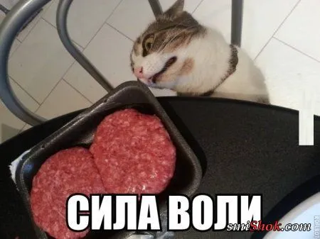 Сладких снов вам Форумчане Сладких снов вам Форумчане