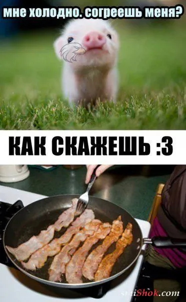 Сладких снов вам Форумчане Сладких снов вам Форумчане