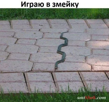 Сладких снов вам Форумчане Сладких снов вам Форумчане