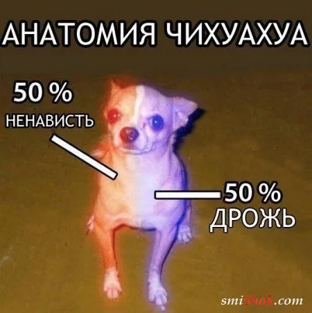 Сладких снов вам Форумчане Сладких снов вам Форумчане