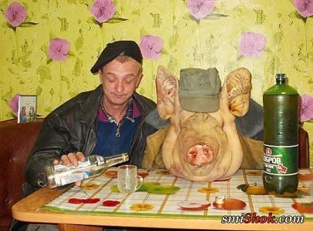 Прикольчики- и ещё раз прикольчики