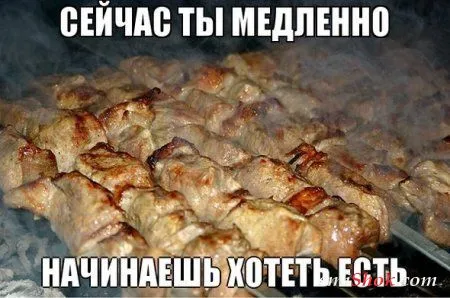 Чем больше приколов - тем лучше Чем больше приколов - тем лучше