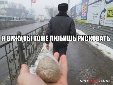 Чем больше приколов - тем лучше Чем больше приколов - тем лучше