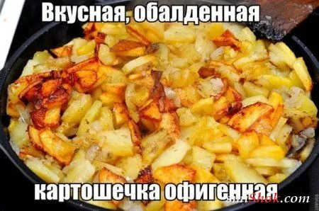 Чем больше приколов - тем лучше Чем больше приколов - тем лучше