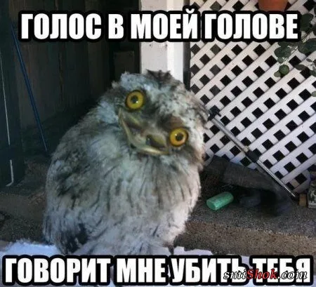 Субботнее настроение