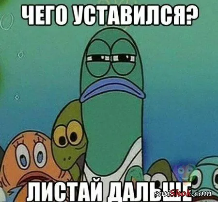 Совсем немного приколов для хорошего настроения
