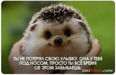 Совсем немного приколов для хорошего настроения