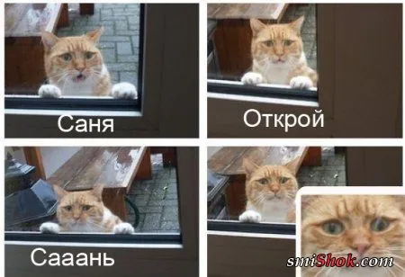 Совсем немного приколов для хорошего настроения