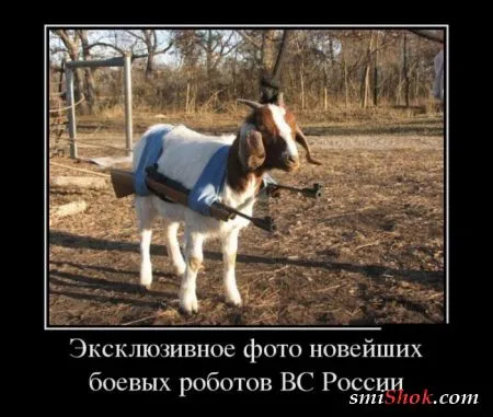 Смотри только правильные Демотиваторы