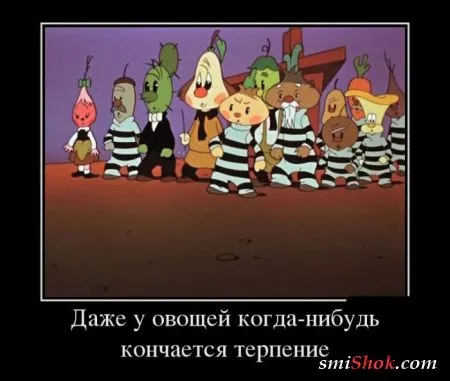 Смотри только правильные Демотиваторы