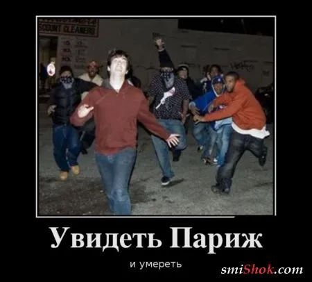 Смотри только правильные Демотиваторы