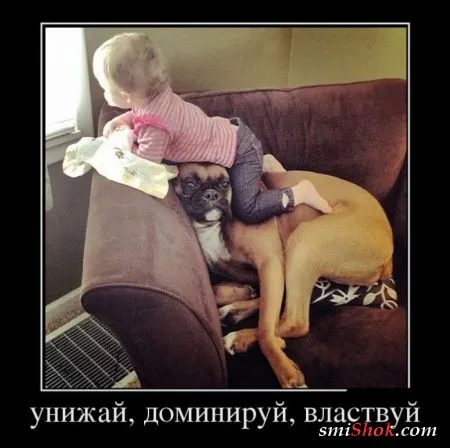 Смотри только правильные Демотиваторы