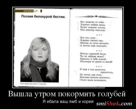 Смотри только правильные Демотиваторы