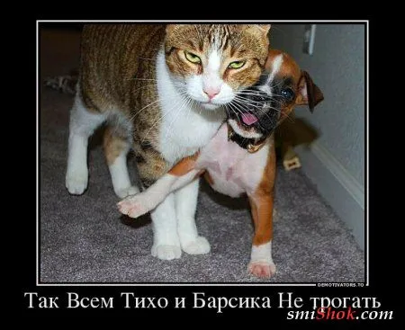 Выходные Демки чтоб вечером Поржать От Души Выходные Демки чтоб вечером Поржать От Души