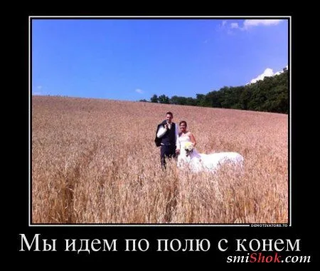 Выходные Демки чтоб вечером Поржать От Души Выходные Демки чтоб вечером Поржать От Души