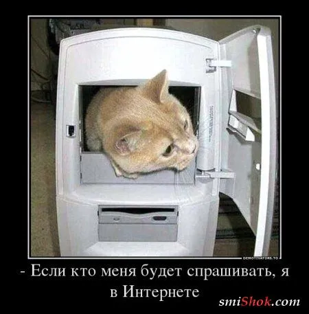 Выходные Демки чтоб вечером Поржать От Души Выходные Демки чтоб вечером Поржать От Души