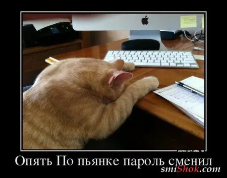 Выходные Демки чтоб вечером Поржать От Души Выходные Демки чтоб вечером Поржать От Души